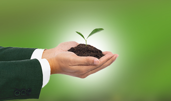 Political Commentator